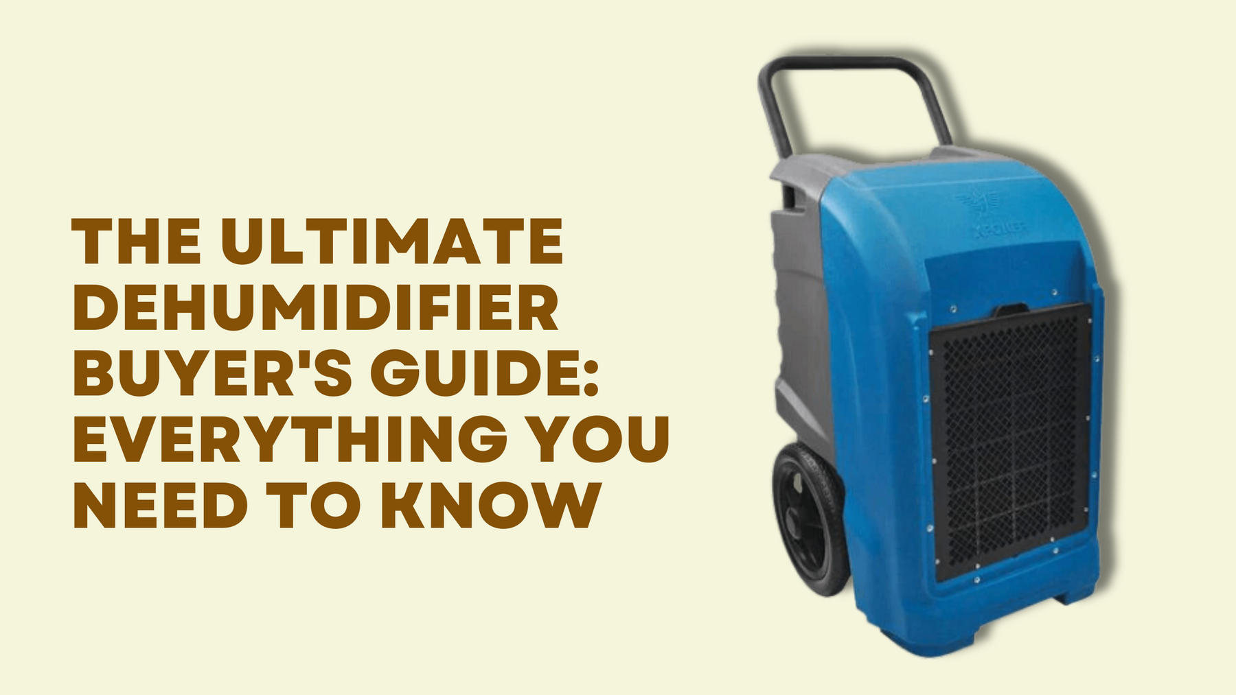 The Ultimate Dehumidifier Buyer's Guide: Everything You Need to Know