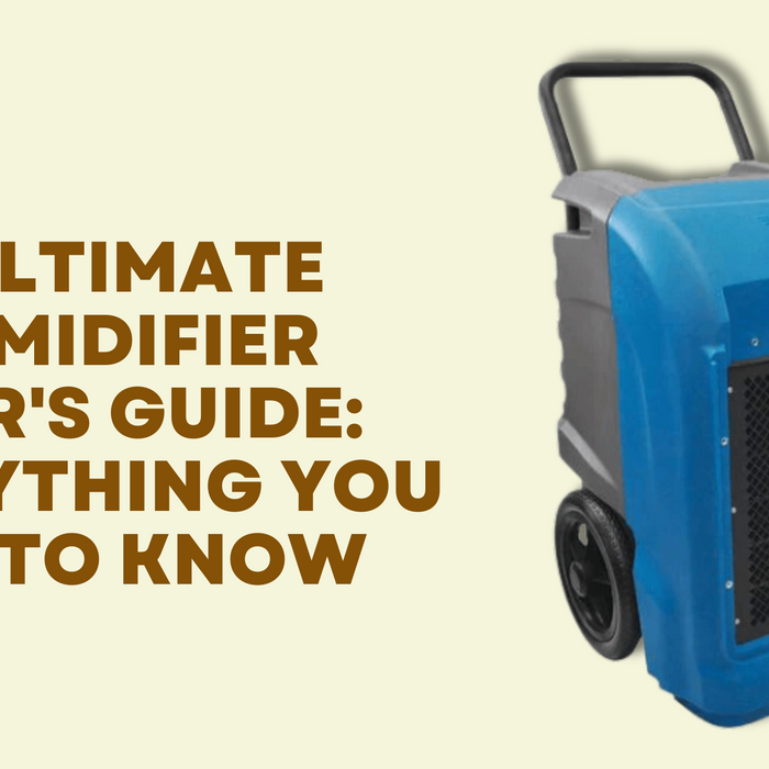 The Ultimate Dehumidifier Buyer's Guide: Everything You Need to Know