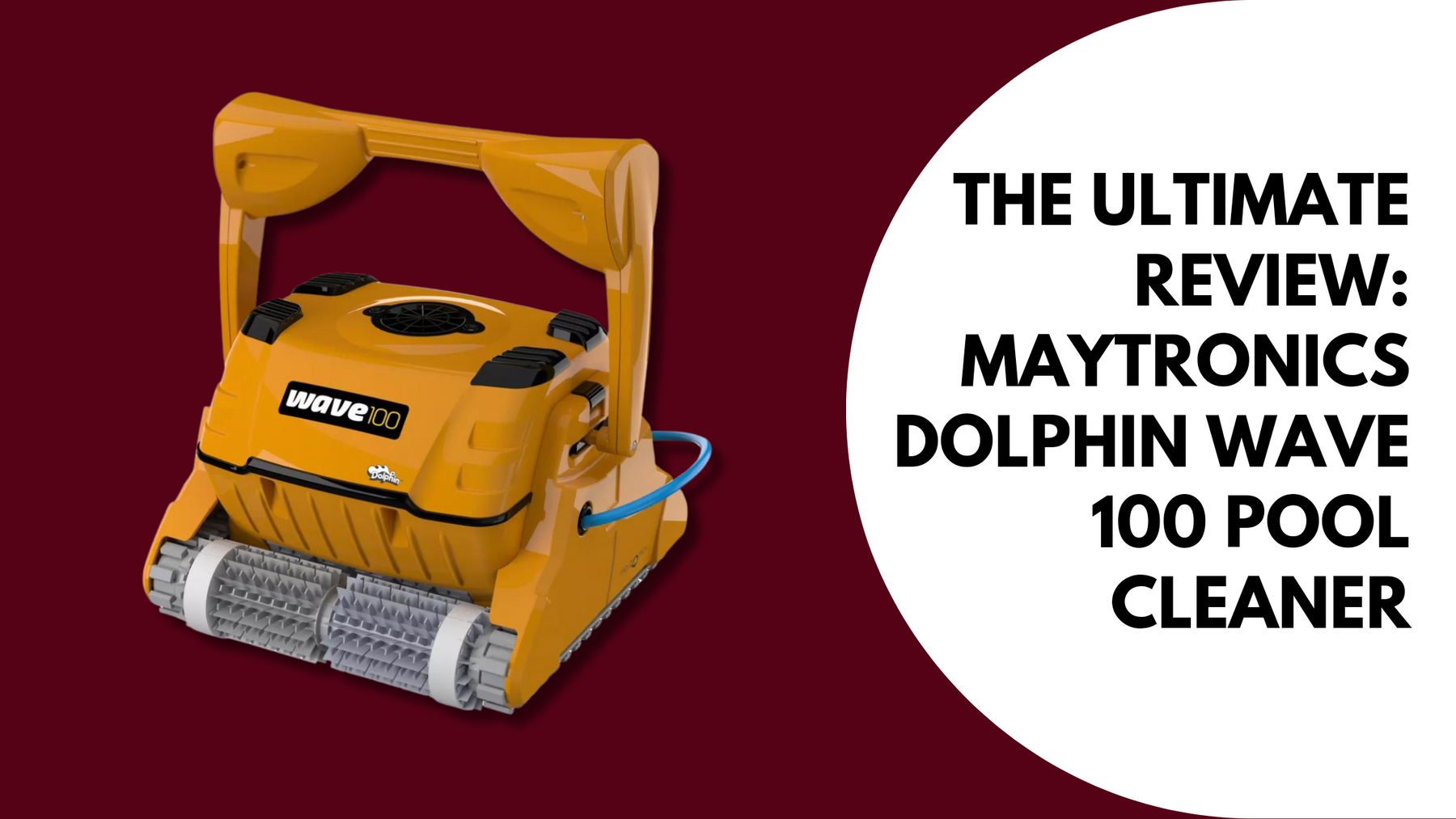 The Ultimate Review: Maytronics Dolphin Wave 100 Pool Cleaner