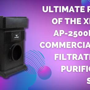 Ultimate Review of the XPOWER AP-2500D MEGA Commercial HEPA Filtration Air Purification System