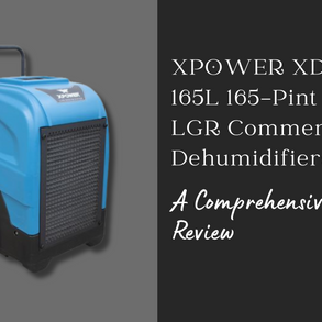 XPOWER XD-165L 165-Pint LGR Commercial Dehumidifier: A Comprehensive Review