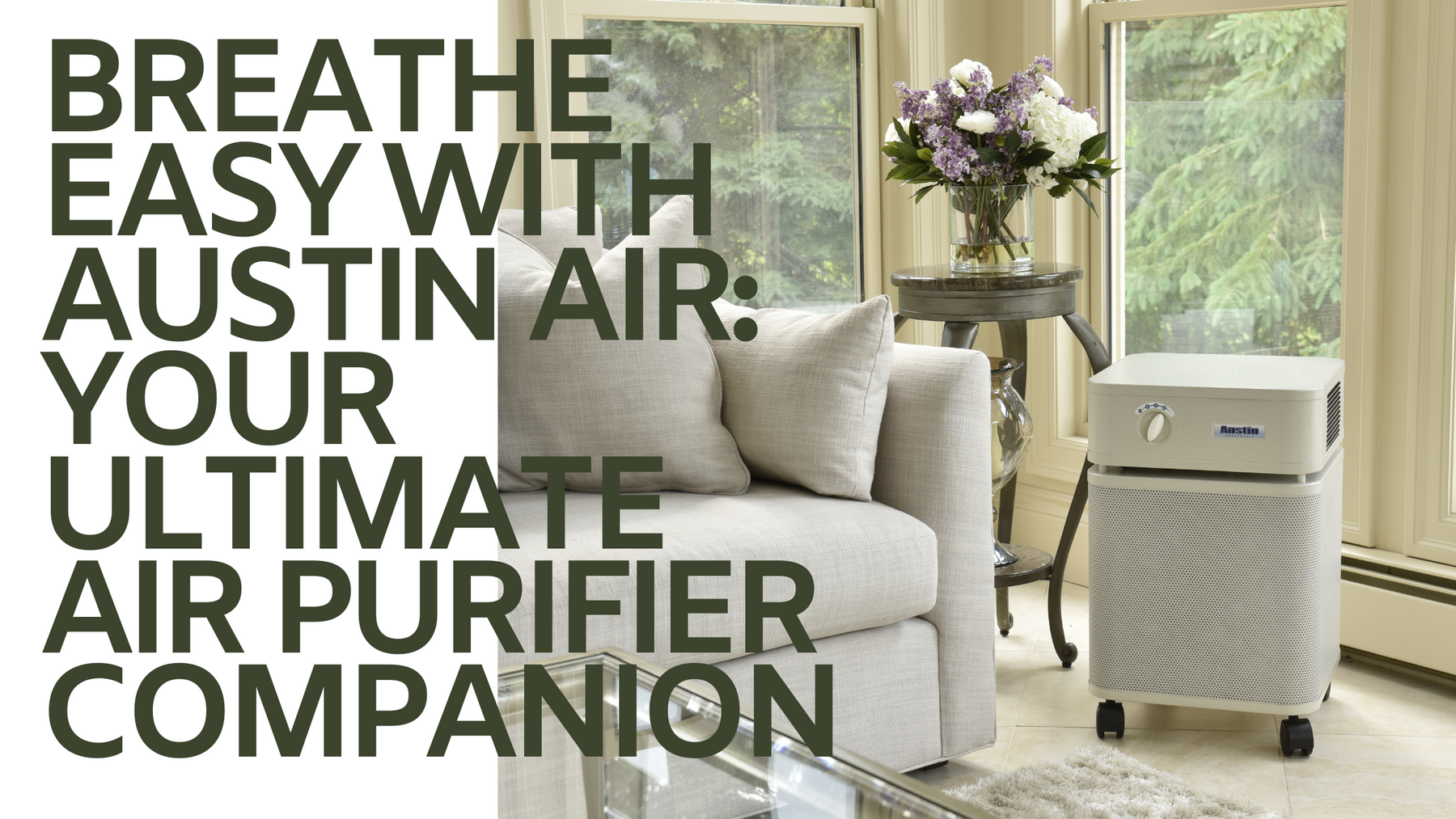 Breathe Easy with Austin Air: Your Ultimate Air Purifier Companion