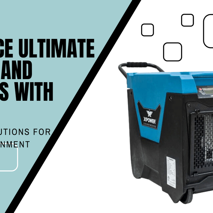Experience Ultimate Comfort and Freshness with XPOWER: Your Go-To Solutions for a Better Environment