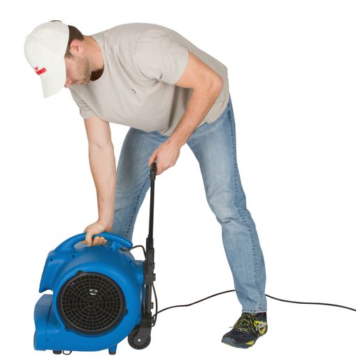 XPOWER P-800H 3/4 HP 3200 CFM 3 Speed Air Mover, Carpet Dryer, Floor Fan, Blower with Telescopic Handle and Wheels - use case